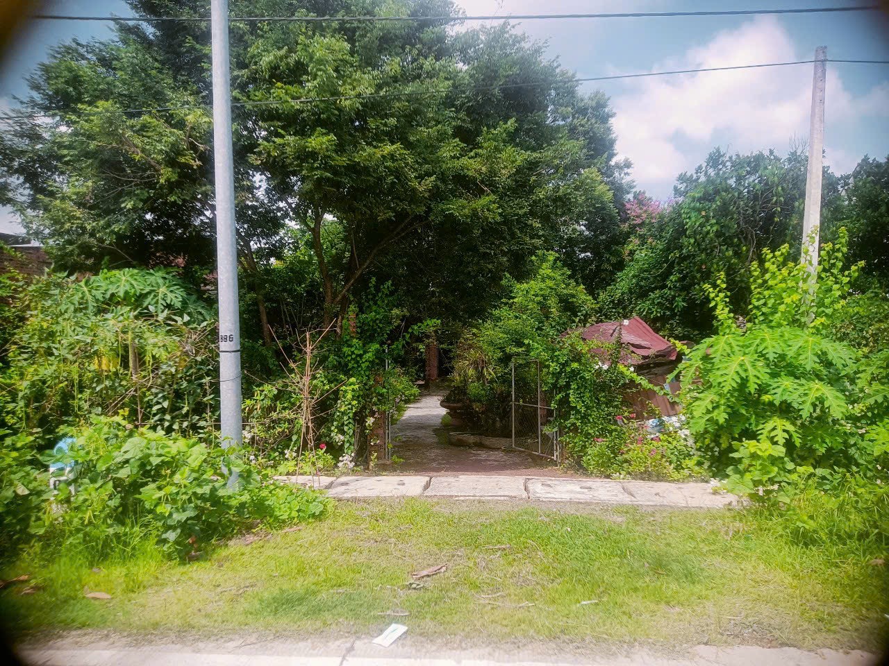 chinh chu can ban 2 lo dat lien ke – mat tien duong dt794