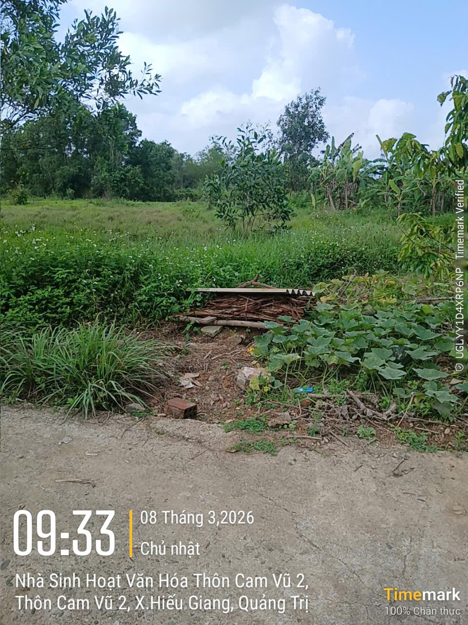 chinh chu can ban dat tai cam vu – cam thuy – cam lo – quang tri