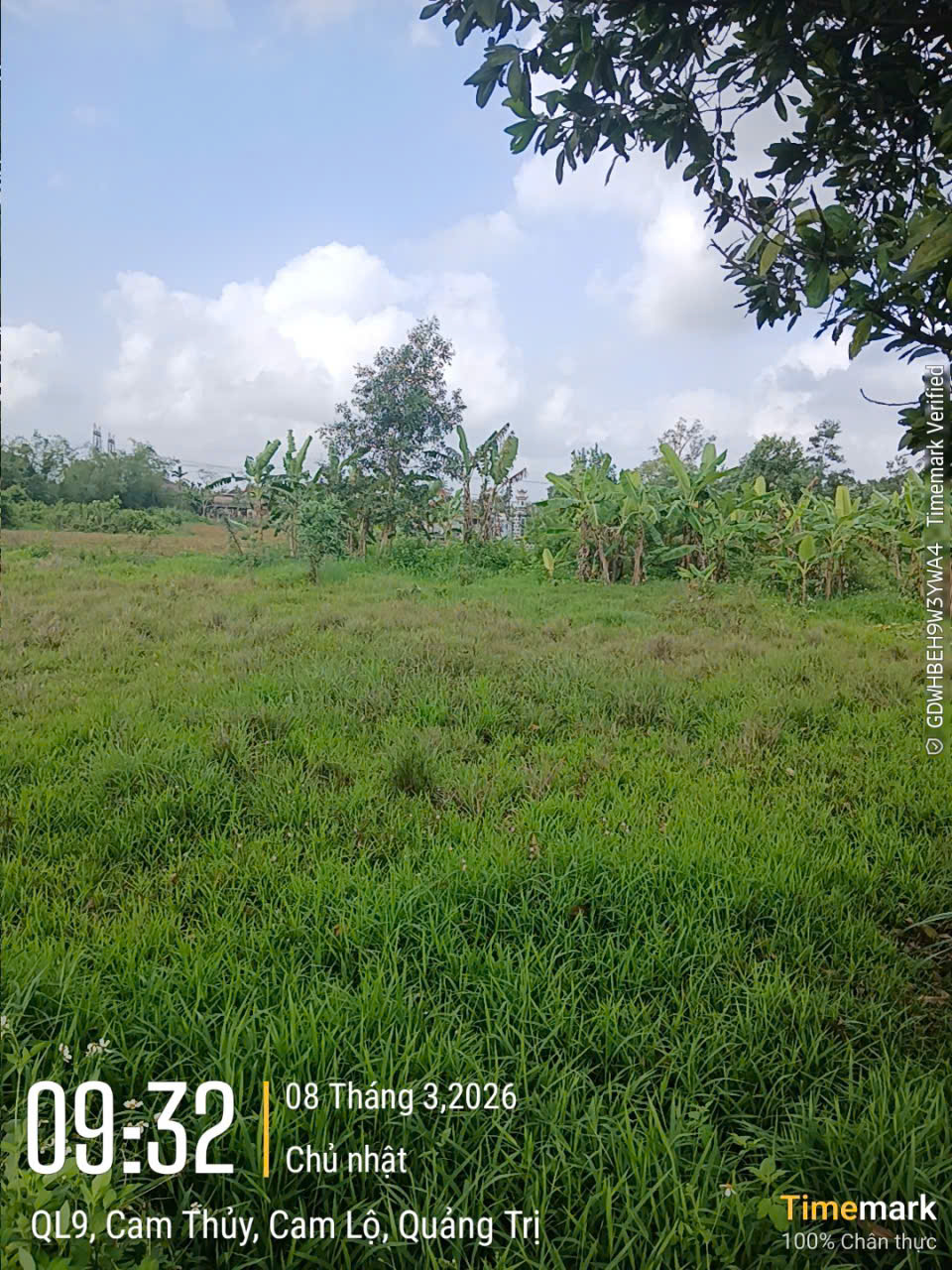 chinh chu can ban dat tai cam vu – cam thuy – cam lo – quang tri