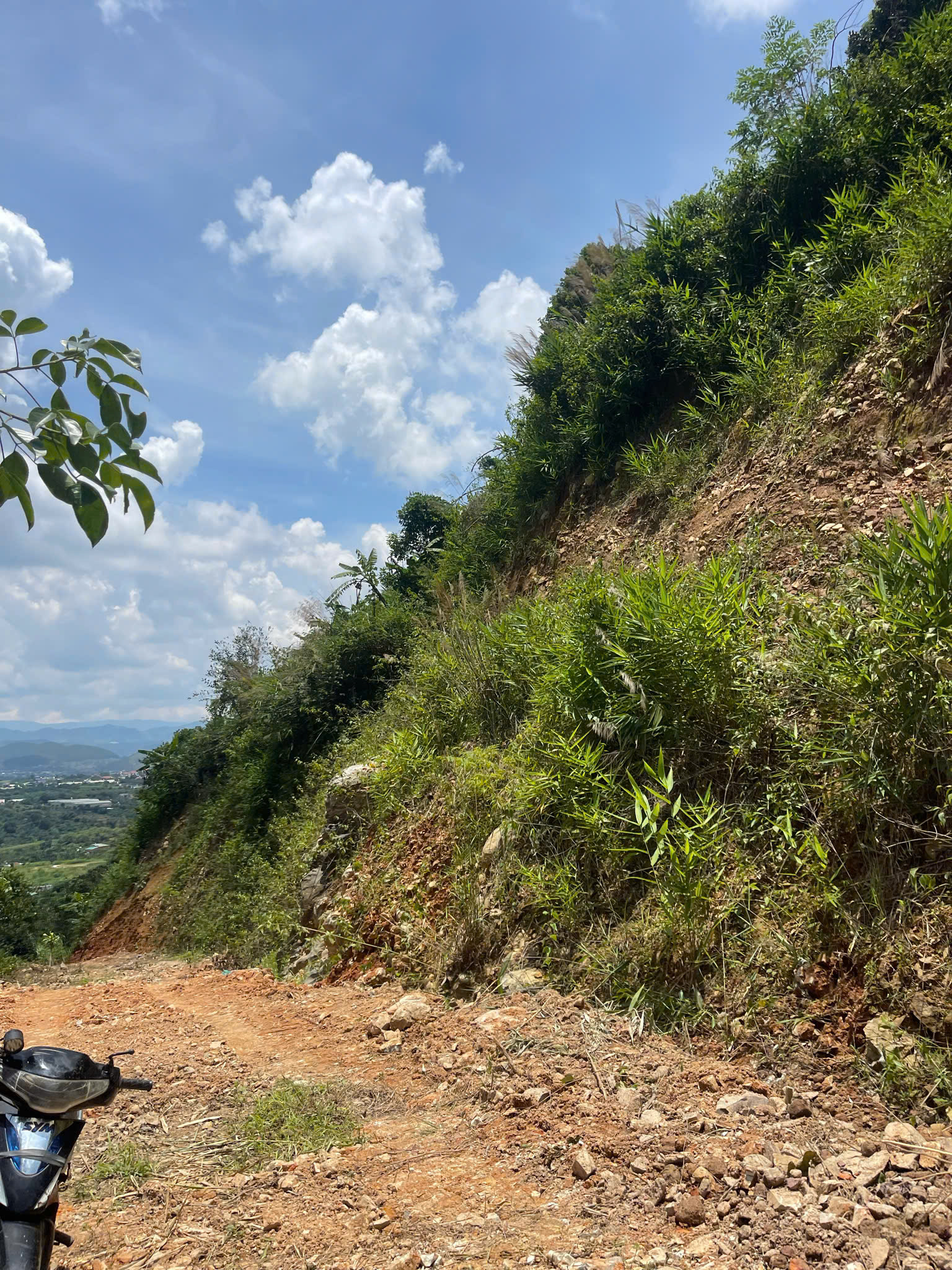 chinh chu can ban dat vuon ca phe gan da lat, xa nam ban lam ha, lam