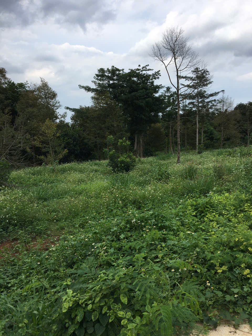 chinh chu can ban nhanh – dat 2 mat tien duong le a, p. binh loc, tp. long khanh, dong nai