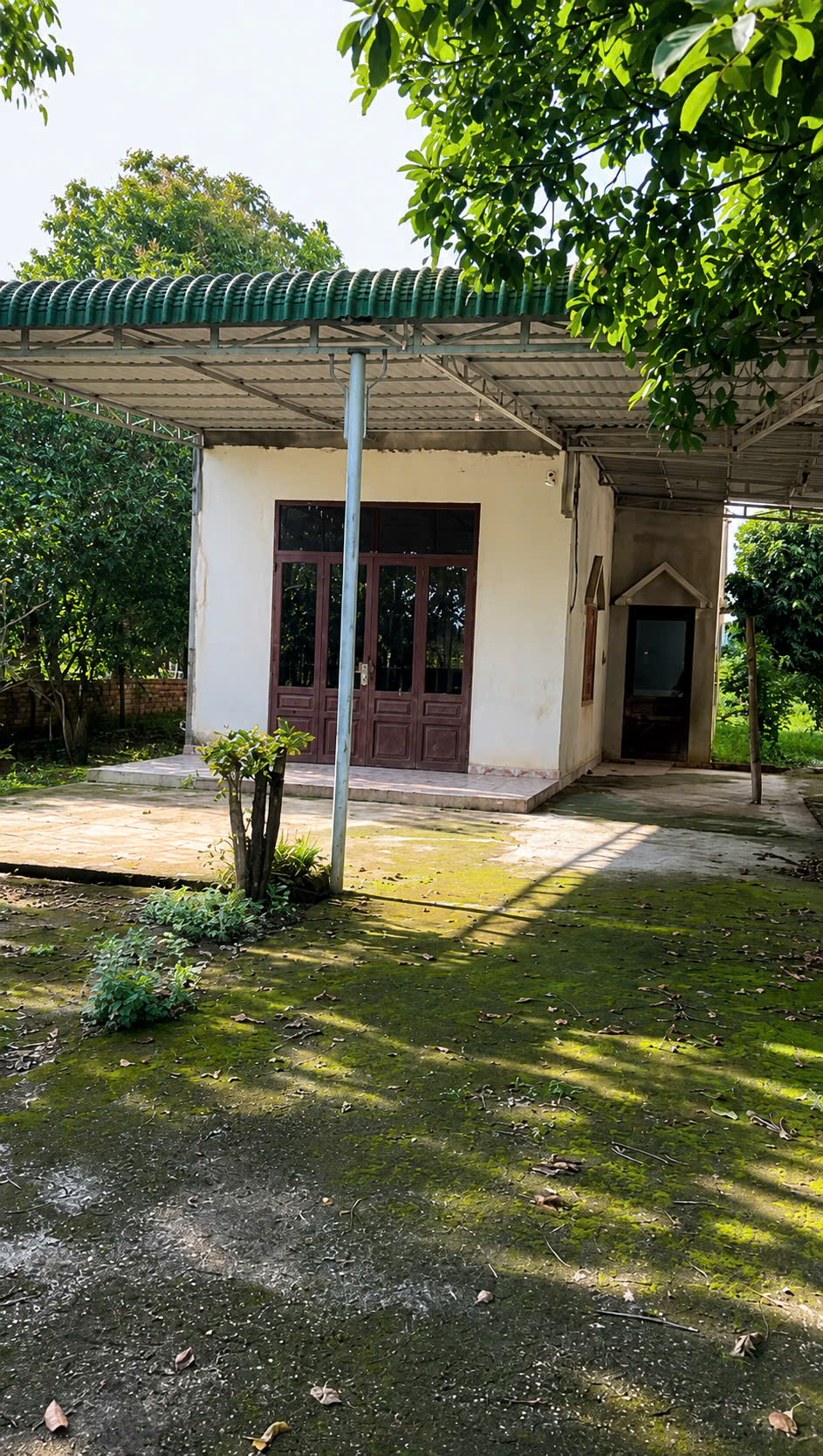 cho thue nha vuon 770m² – bo pho ve vuon chi 2 trieu/thang!
